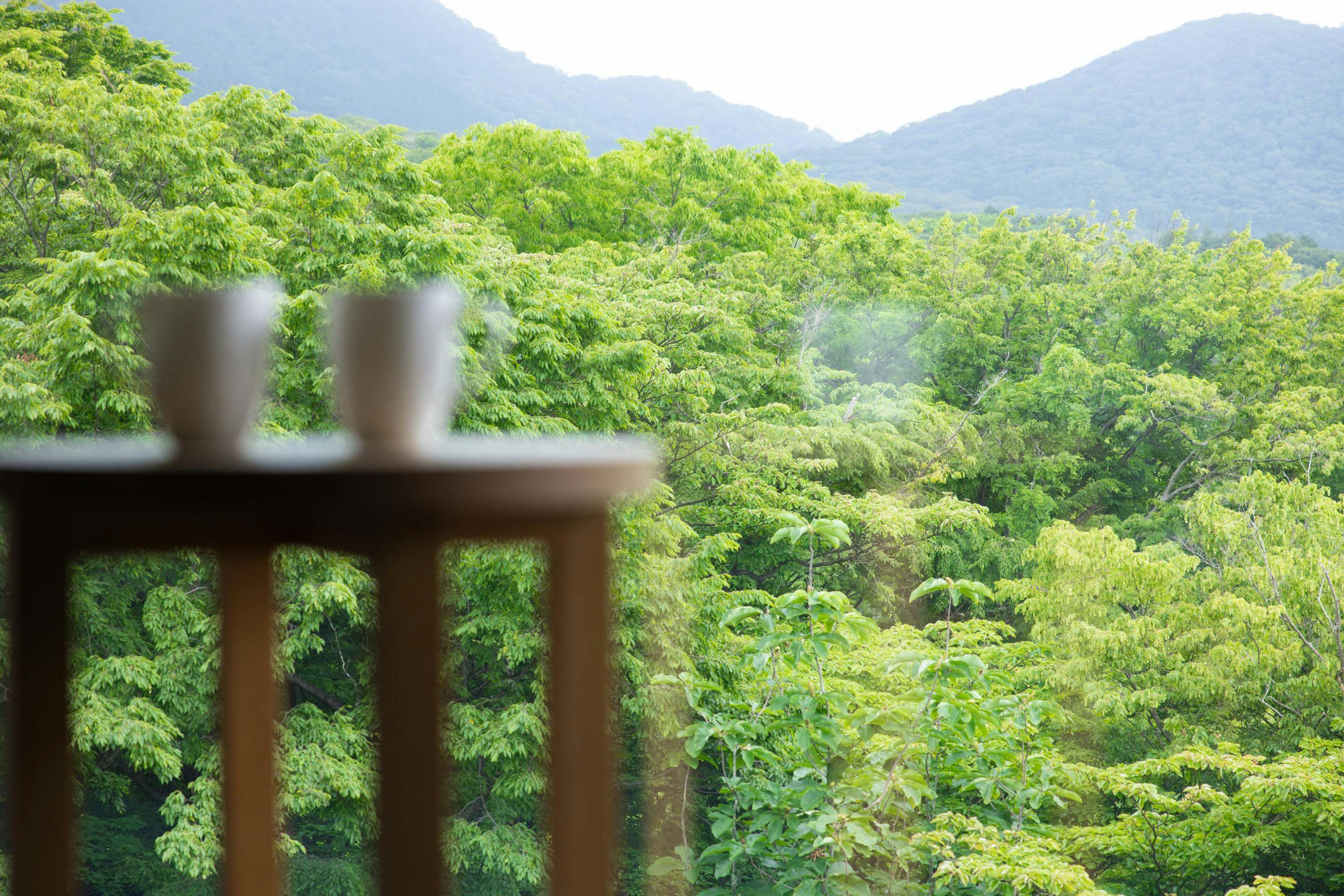 東急バケーションズ箱根強羅