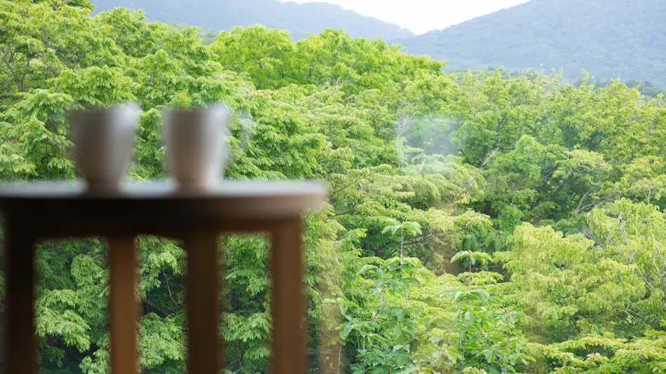 Tokyu Vacations Hakone Gora