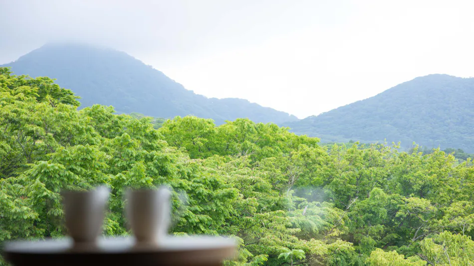 Tokyu Vacations Hakone Gora