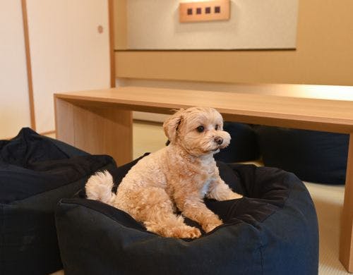 【愛犬客室】リビング