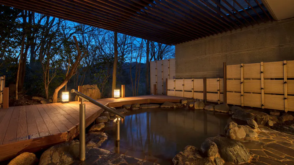 Tokyu Vacations Hakone Gora