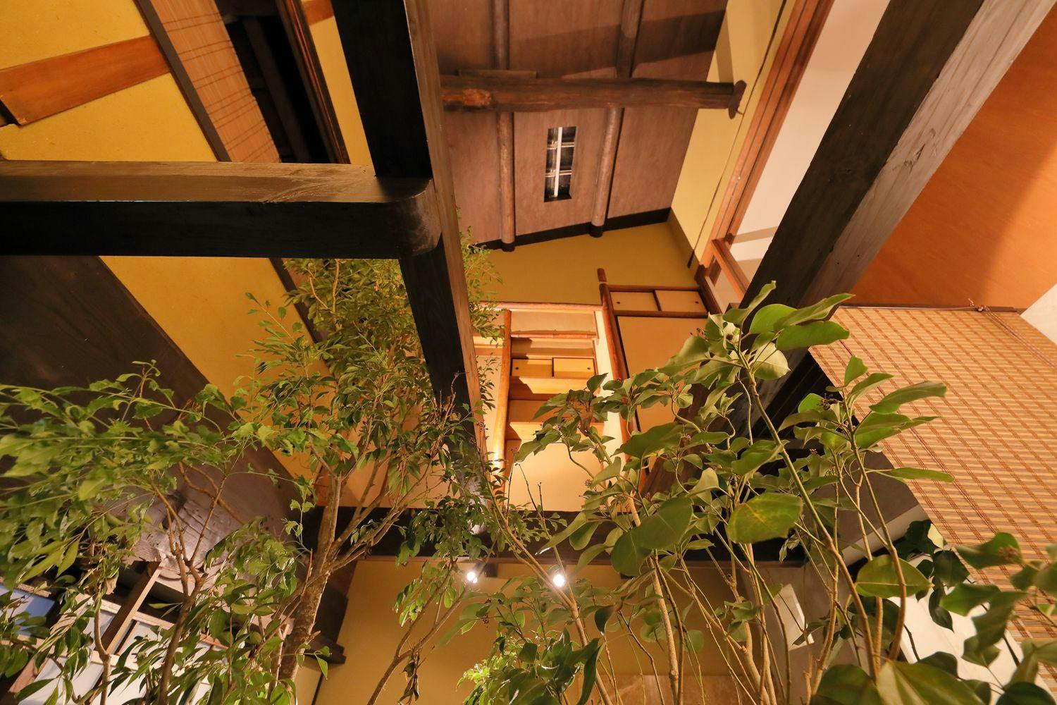 京のおおぞら 風華