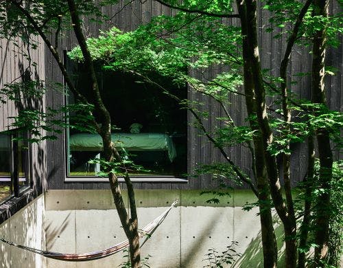 グリーンが眩しいパティオ