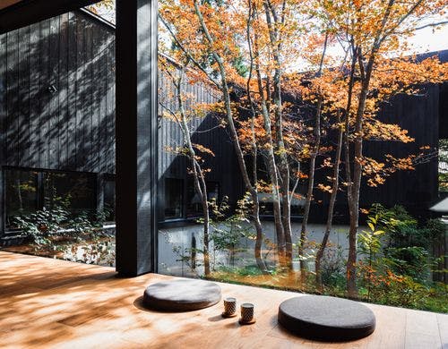 縁側から望む紅葉