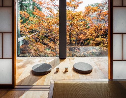 二階から望む紅葉