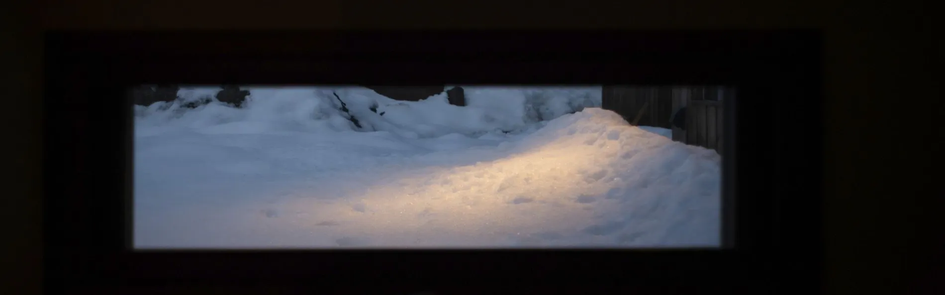 草木ももとせ