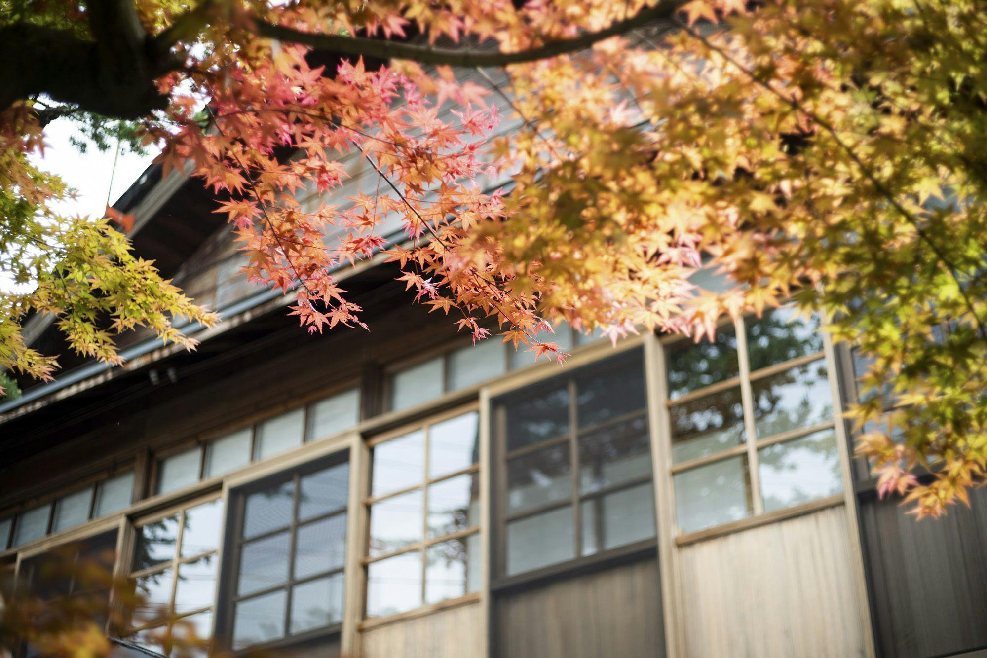 明治時代の蔵と大正時代の母屋