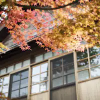 明治時代の蔵と大正時代の母屋