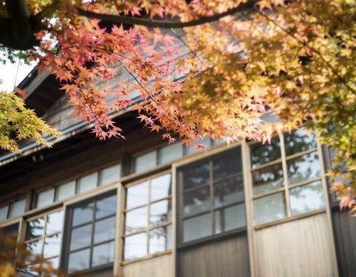 明治時代の蔵と大正時代の母屋