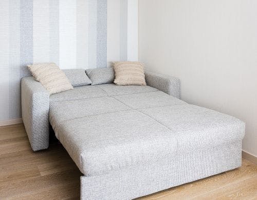 202 Fujisan room ソファベッド