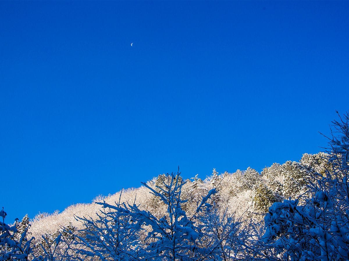 すみや落水邸