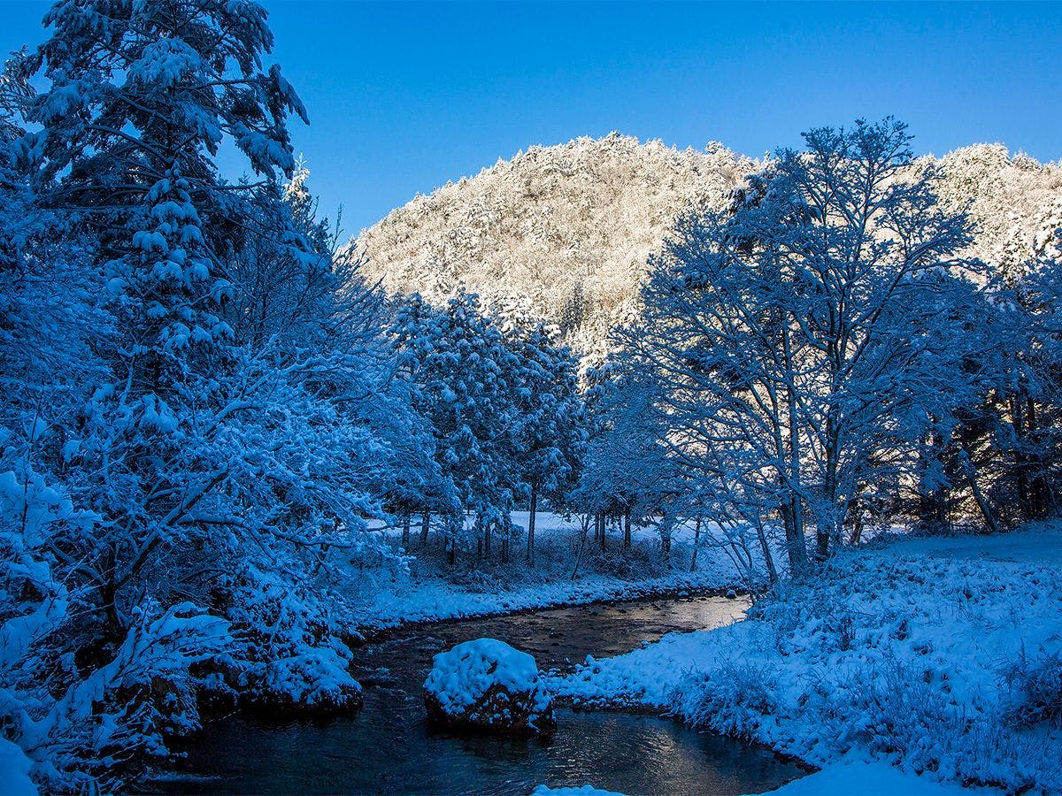 すみや落水邸