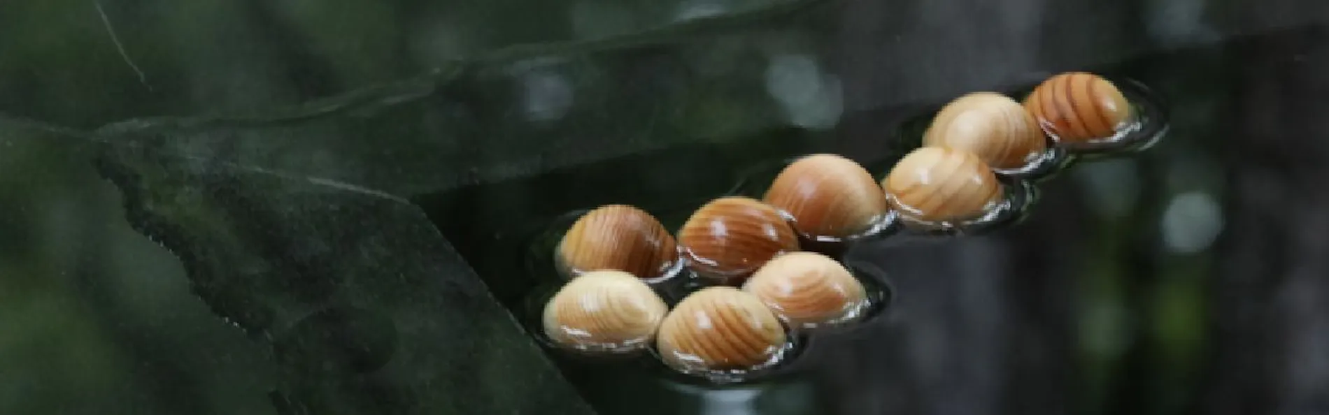 すみや落水邸