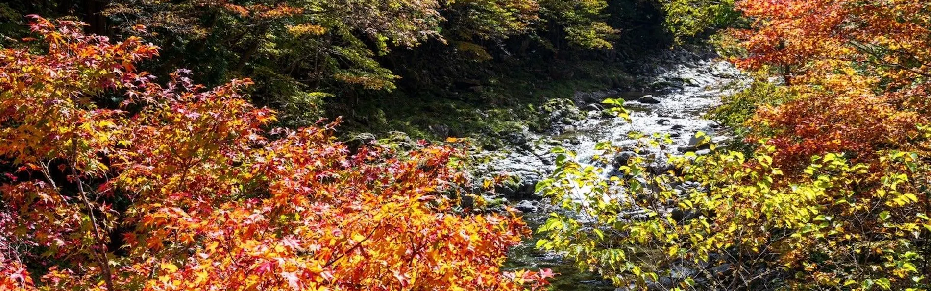 すみや落水邸