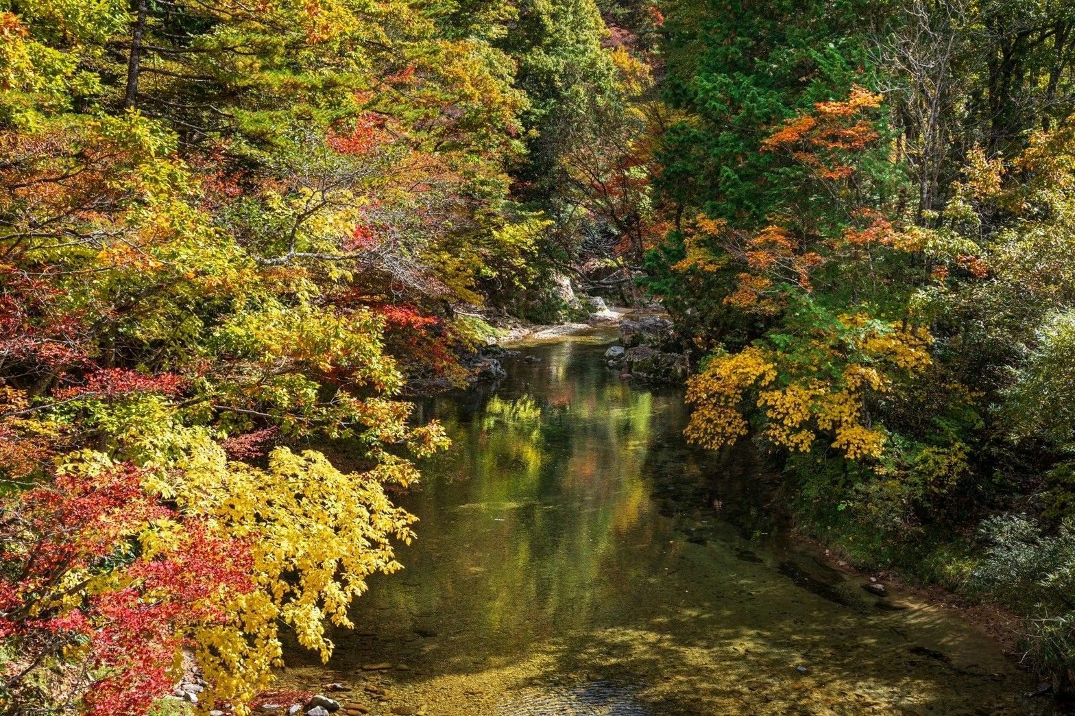 すみや落水邸
