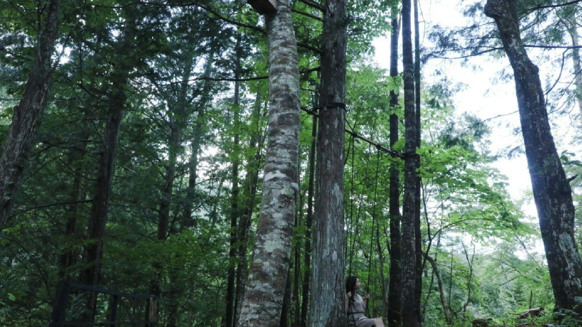 ・落水邸_森の中に佇むすみや落水邸