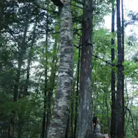 ・落水邸_森の中に佇むすみや落水邸