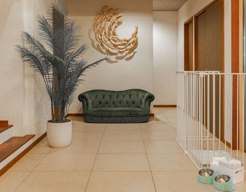 リビング、わんちゃんの備品。