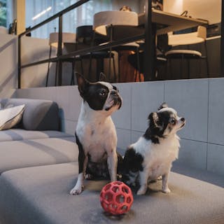 軽井沢365 フォレストガーデン八風台