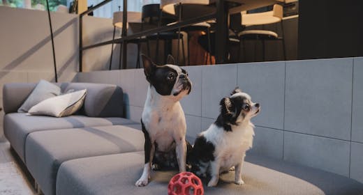 軽井沢365 フォレストガーデン八風台