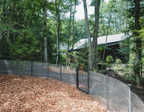 肉球に優しくバークチップを敷き詰めました