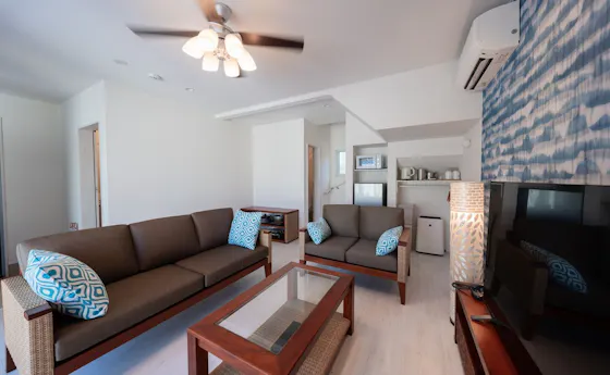 【Luxury Villa A】