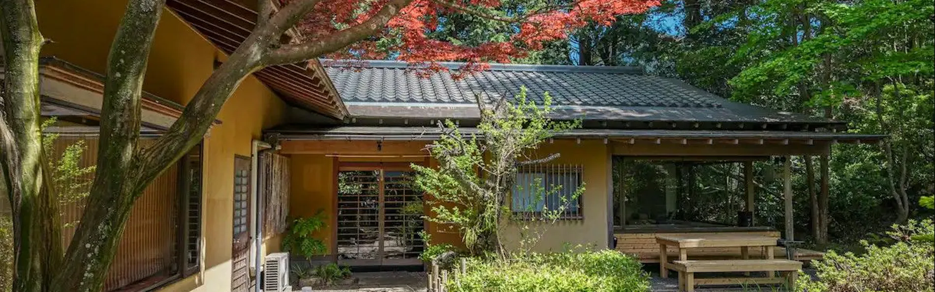 けやき坂
