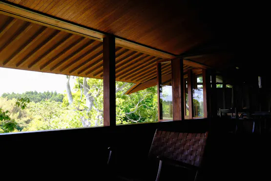 夏、高く昇る太陽が作る濃い日陰。