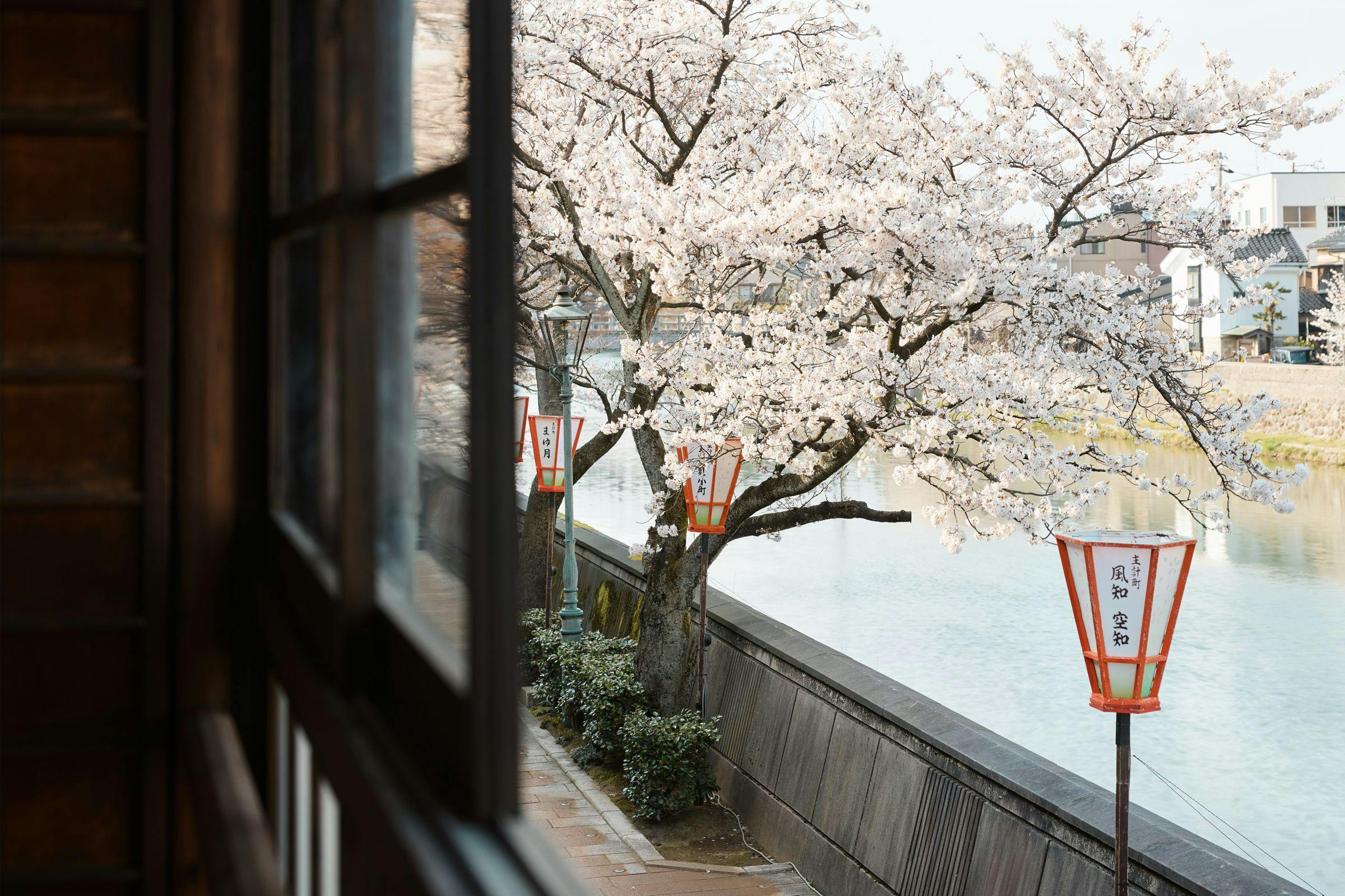 空知