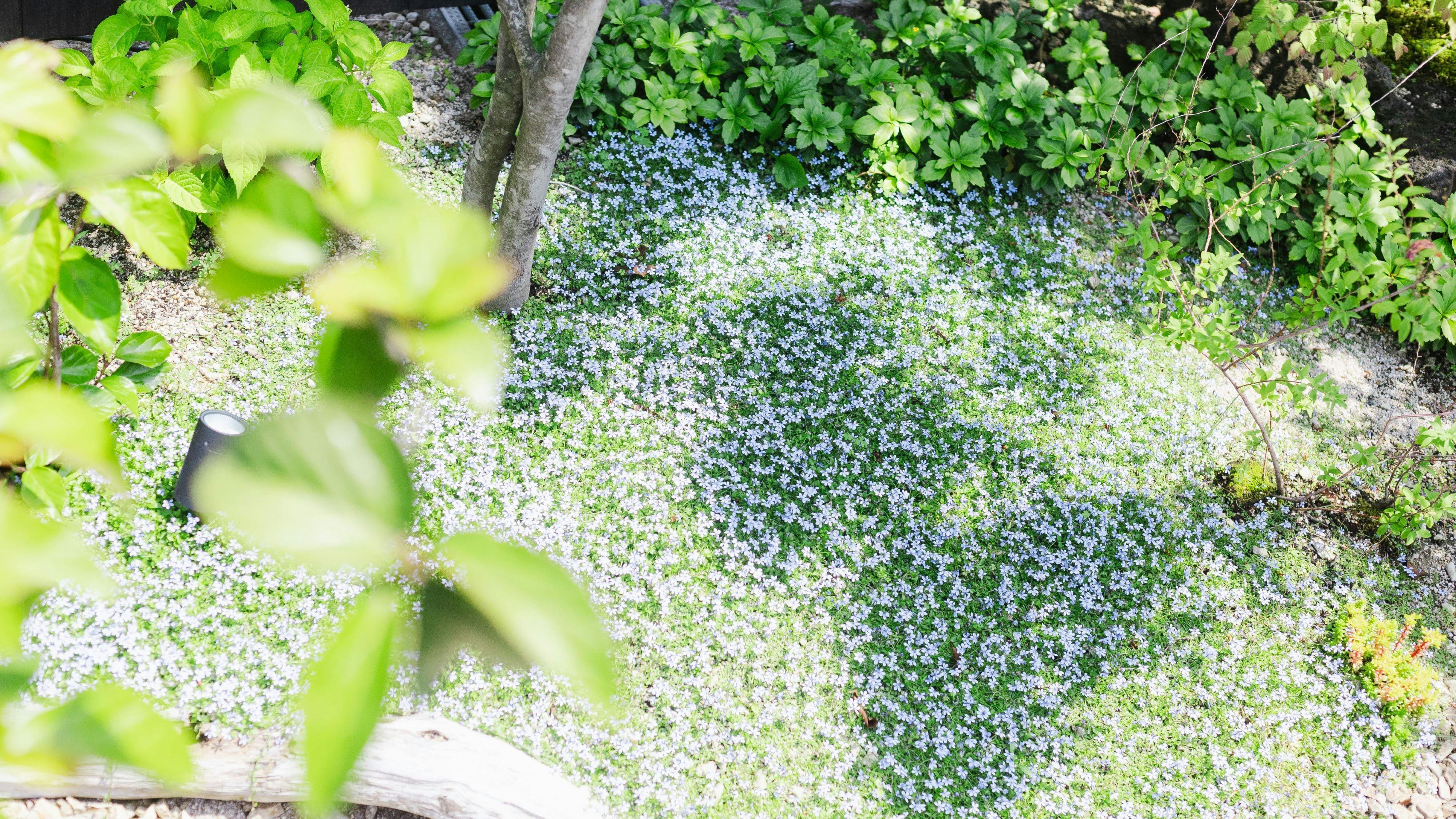 和久水