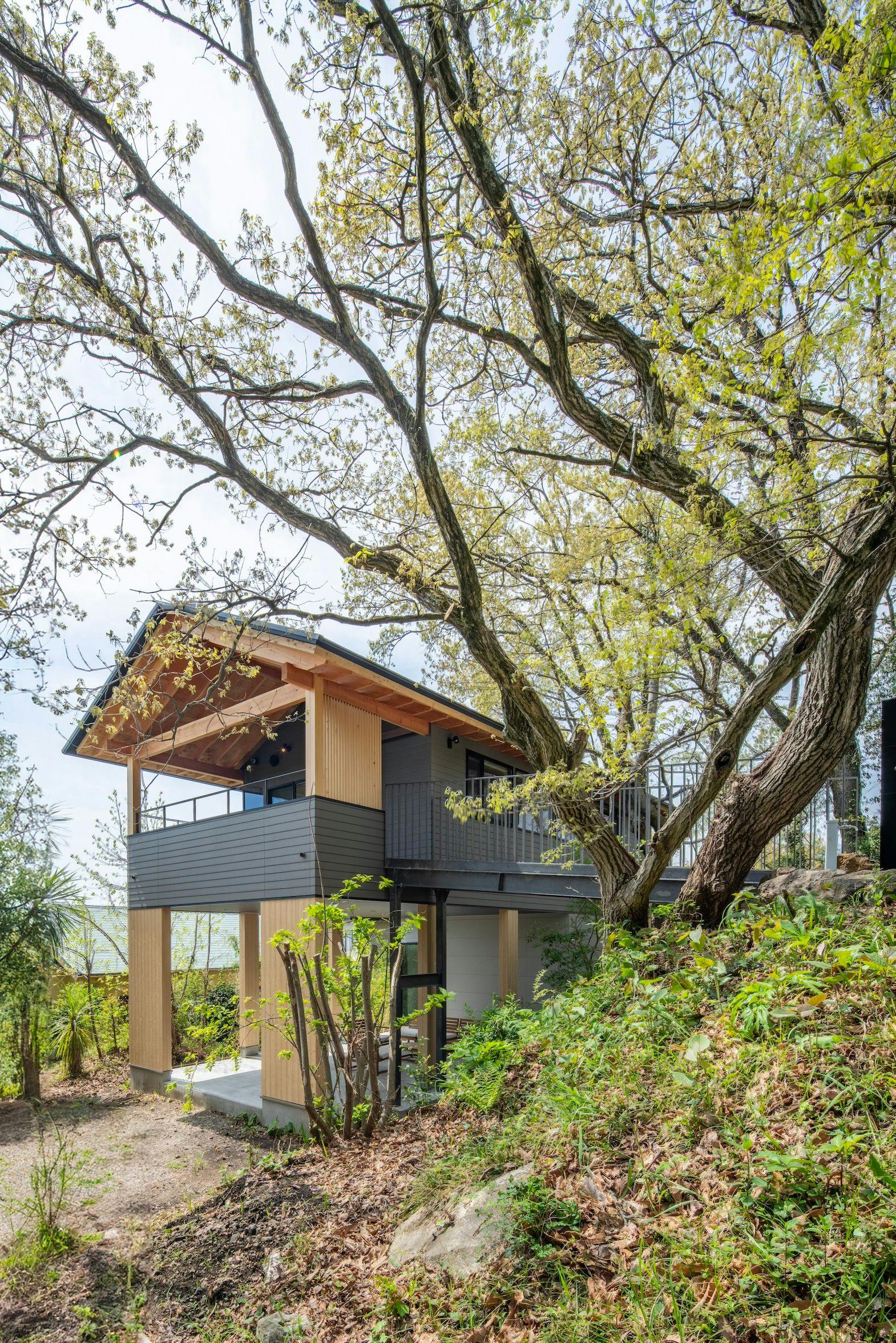 Nutic Izu - ภายนอก