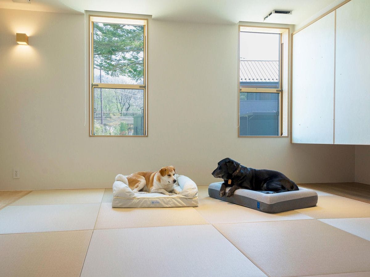 Rakuten STAY VILLA Kinugawa Riverside