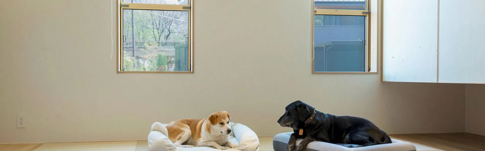 Rakuten STAY VILLA 鬼怒川リバーサイド