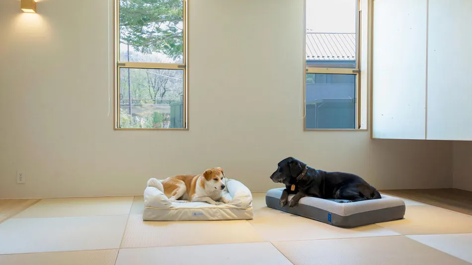 Rakuten STAY VILLA Kinugawa Riverside