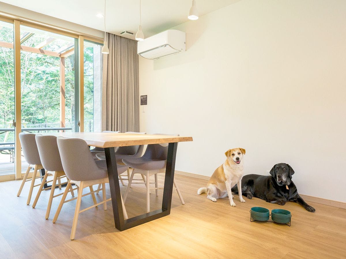 Rakuten STAY VILLA Kinugawa Riverside