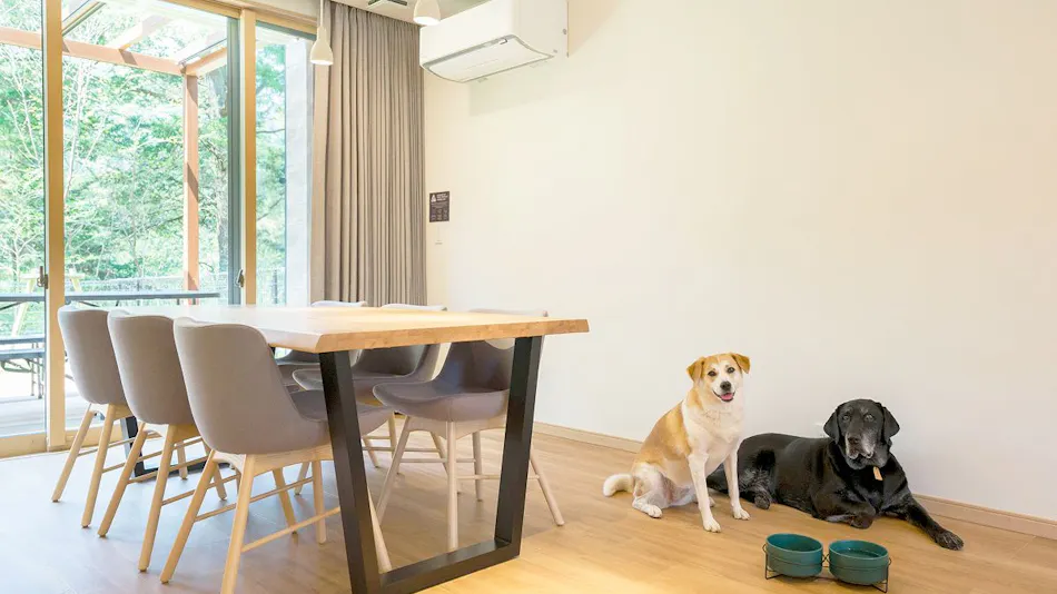 Rakuten STAY VILLA Kinugawa Riverside