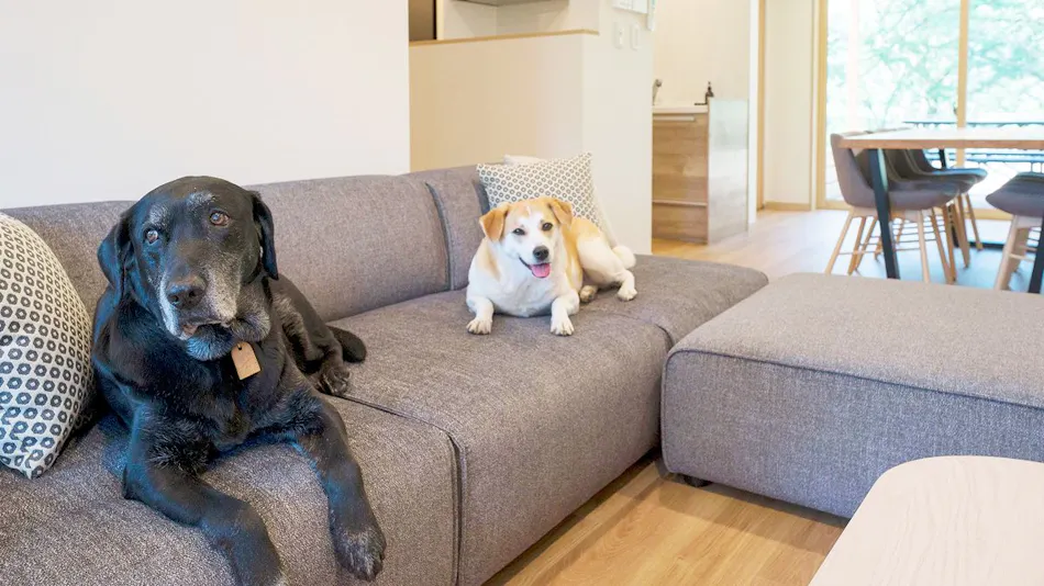 Rakuten STAY VILLA Kinugawa Riverside