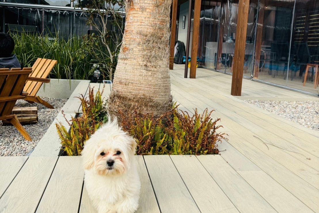 デッキの上で記念撮影♪