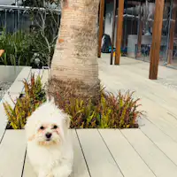 デッキの上で記念撮影♪