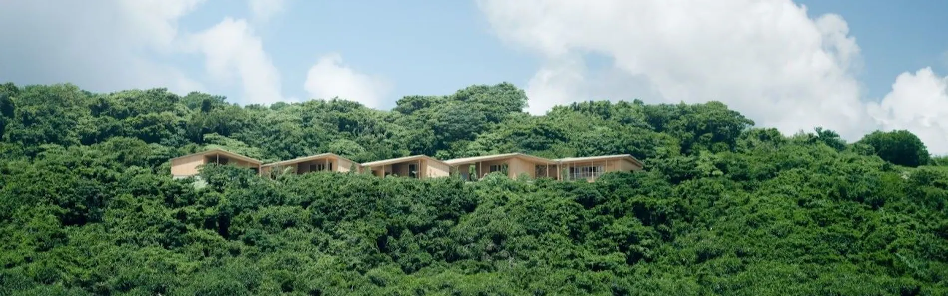 YAWN YARD Kouri Island