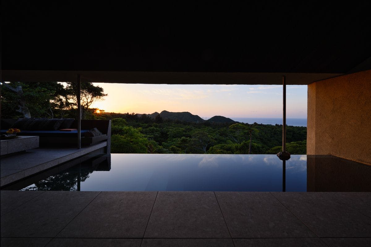 やんばるくいな やんばるくいな様専用 【公式通販】