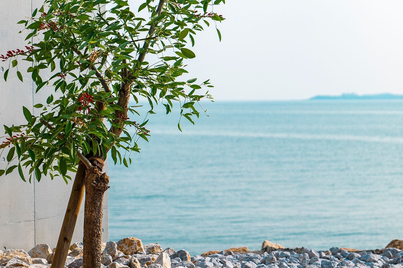 Grand Retreat Setouchi Iwaya