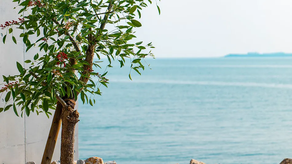 Grand Retreat Setouchi Iwaya