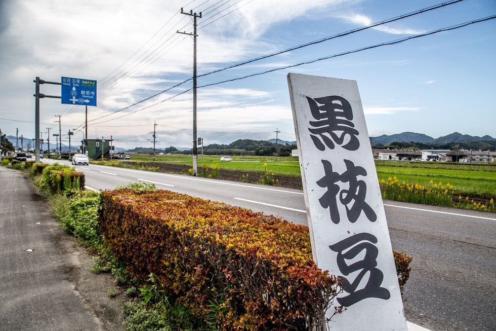 豆家