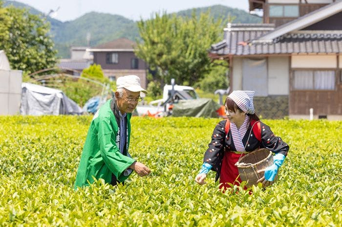 豆家