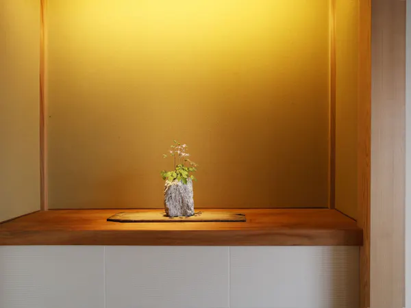 季節の植物が彩る飾り棚