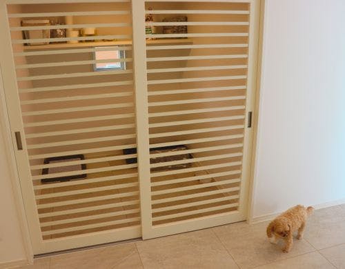 飼い主さんのそばで、安心して過ごせる