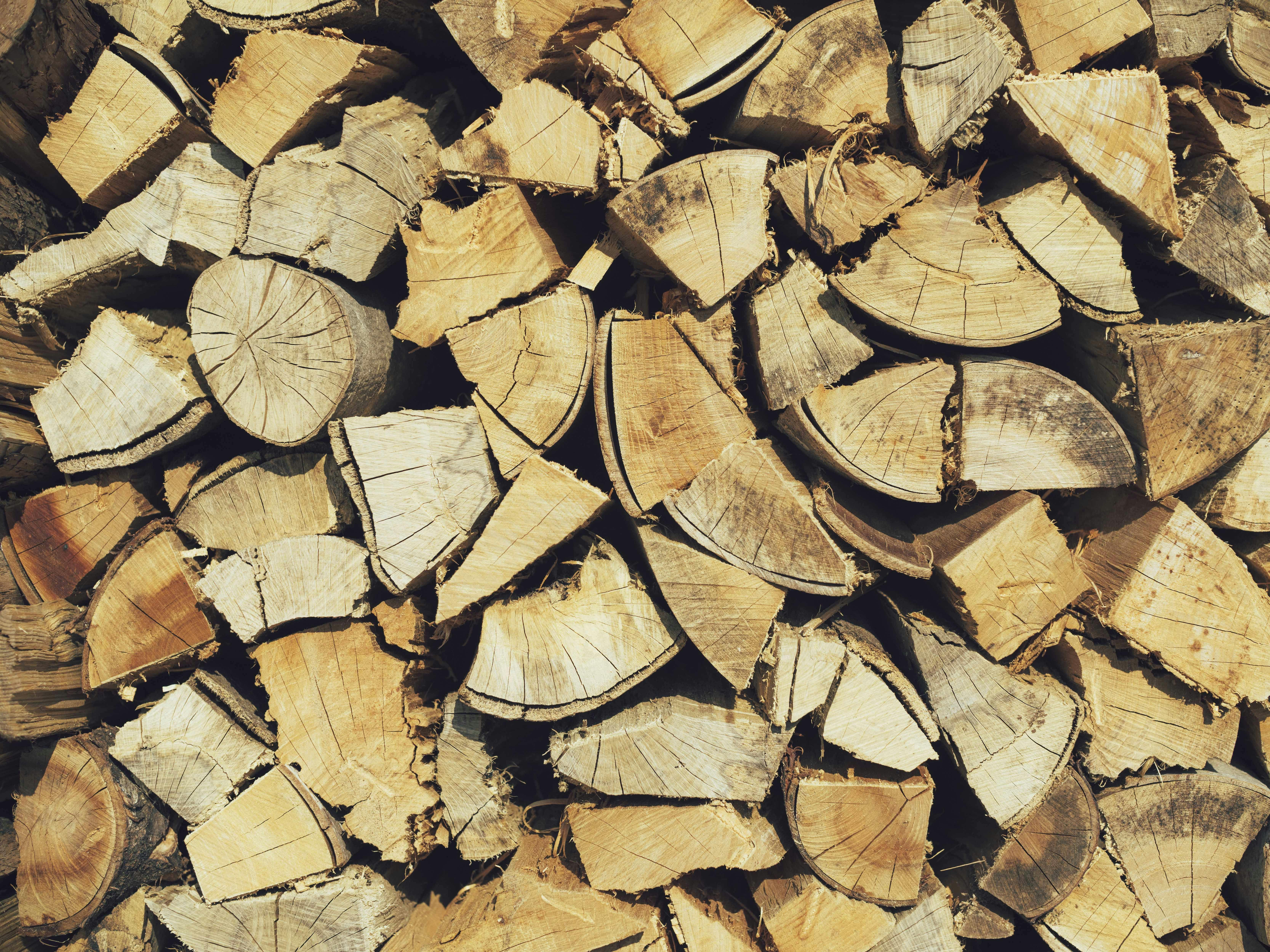 เวลาผ่อนคลายกับความอบอุ่นจากฟืน