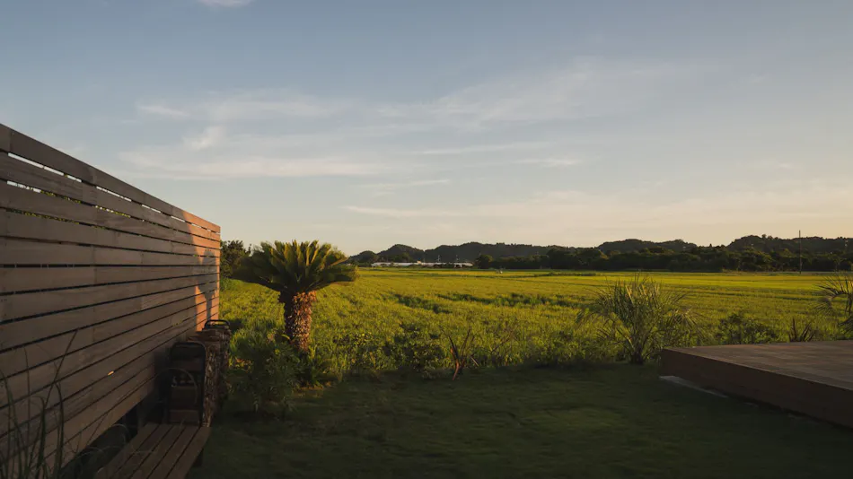 Sawah Torami