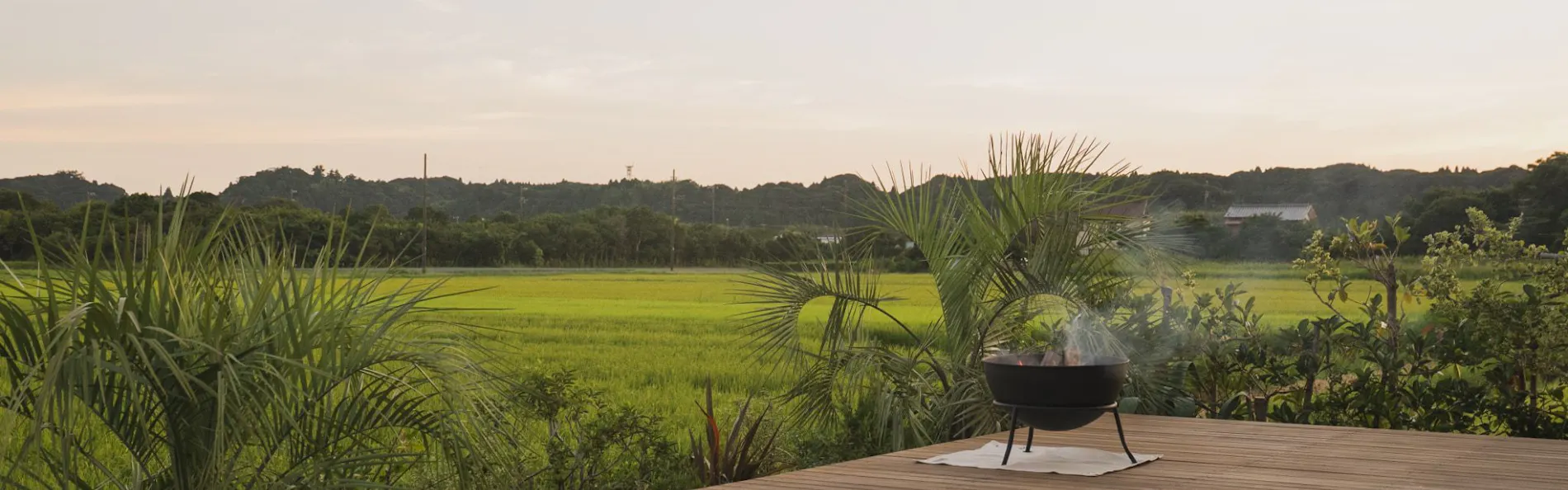 sawah torami